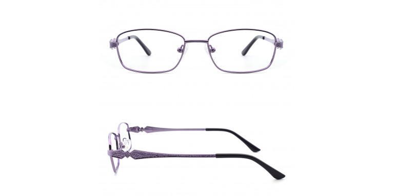 Emmeline Gold/Purple/Brown Budget Eyewear Frames